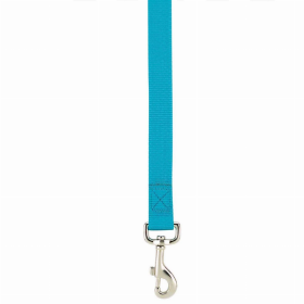 Casual Canine Flat Dog Leash - Blue