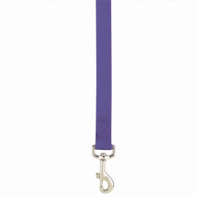 Casual Canine Flat Dog Leash - Purple