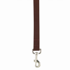 Casual Canine Flat Dog Leash - Brown - 6 Ft x 1 In