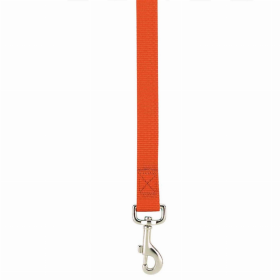 Casual Canine Flat Dog Leash - Orange - 6 Ft x 1 In