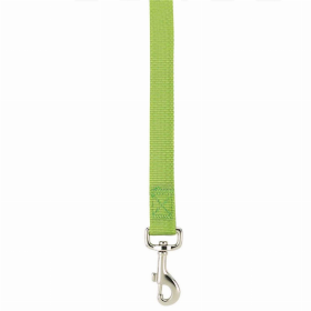 Casual Canine Flat Dog Leash - Light Green - 6 Ft x 1 In