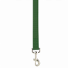 Casual Canine Flat Dog Leash - Dark Green - 6 Ft x 1 In