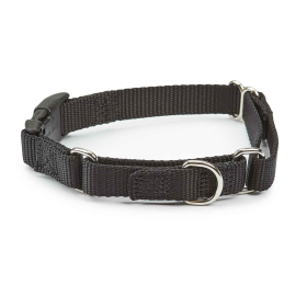 Guardian Gear Martingale Dog Collar - Black