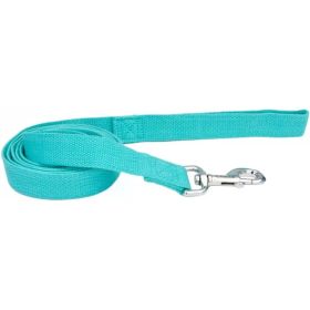 Coastal Pet New Earth Soy Dog Lead - Mint Green - 6 feet x 1"W