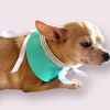 Sniffany Blue Dog Collar - Adjustable Neck Collar