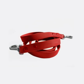 Red Dog Leash