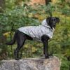 GF Pet Reversible ElastoFit Dog Raincoat