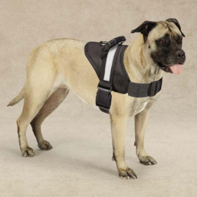 Guardian Gear Excursion Dog Harness 36-46In