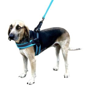 Sporn Easy Fit Dog Harness - Blue - Medium 1 count