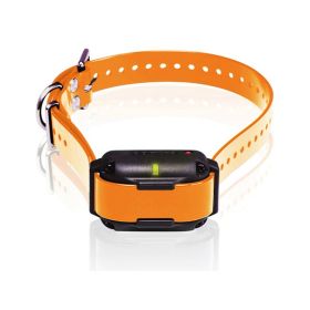 Dogtra Edge RT Trainer Extra Dog Collar - Orange