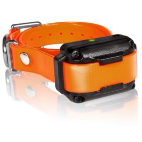 Dogtra IQ Plus Dog Training Collar