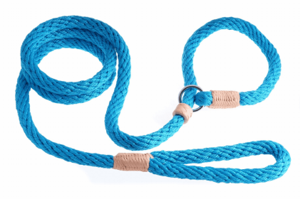 Alvalley Nylon Slip Dog Lead With Stopper (Color: Turquoise)