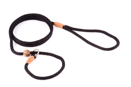 Alvalley Nylon Slip Dog Lead with Stopper (4 ft  x 1/4in or 6mm) (size: 4 ft  x 1/4in or 6mm)