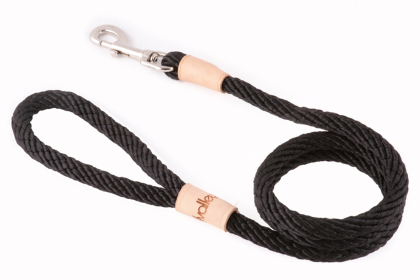 Braided Sport Snap Dog Lead by Alvalley (4 ft  x 1/2in or 13mm) (size: 4 ft  x 1/2in or 13mm)