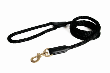 Rope and Leather Snap Dog Lead (size: 4ft x 3/4 in)