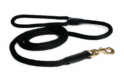 Rope and Leather Snap Dog Lead (size: 6ft x 3/4 in)