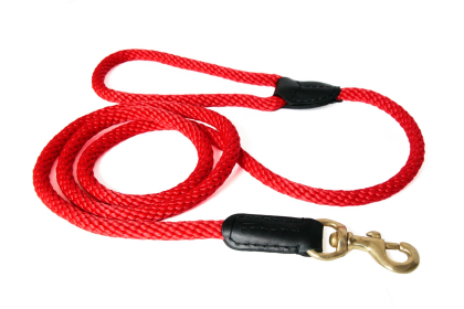 Alvalley Braided Rope and Leather Dog Snap Lead (4ft x 3/4 in) (size: 4ft x 3/4 in)