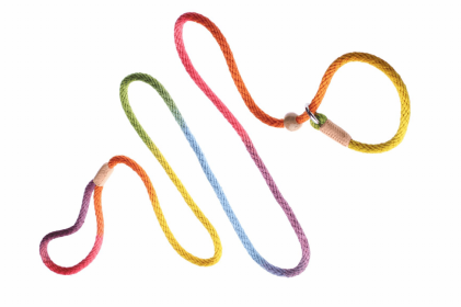 Alvalley Nylon Slip Dog Leash With 2 Stoppers (Color: Rainbow Multicolor)