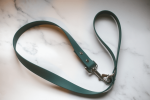 Biothane Dog Leash