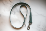 Biothane Dog Leash