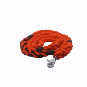 Halloween Dog Leash (Color: Halloween, size: 4 ft)