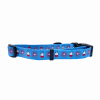 Cutie Ties Fun Design Dog Collar