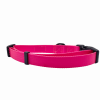 Cutie Ties Fun Design Dog Collar