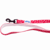 Cutie Ties Fun Design Dog Leash