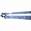 Cutie Ties Fun Design Dog Leash