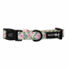 Sassy Woof Dog Collars