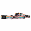 Sassy Woof Dog Collars