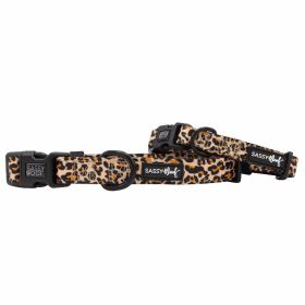 Sassy Woof Dog Collars (Color: Sass Gone Wild, size: large)