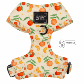 Sassy Woof Adjustable Harness (Color: Simply the Zest, size: XXSmall)