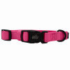 Sassy Woof Dog Collars