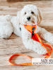 Sassy Woof Adjustable Harness