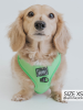 Sassy Woof Adjustable Harness