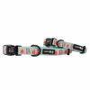 Sassy Woof Dog Collars