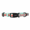 Sassy Woof Dog Collars