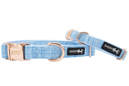 Sassy Woof Dog Collar (Color: Blue, size: small)