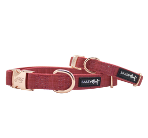 Sassy Woof Dog Collar (Color: Red, size: medium)