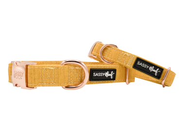 Sassy Woof Dog Collar (Color: Yellow, size: medium)