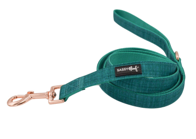 Sassy Woof Dog Leash (Color: Green, size: One Size)