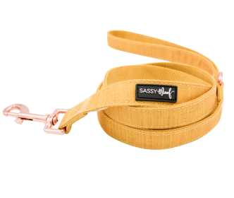 Sassy Woof Dog Leash (Color: Yellow, size: One Size)