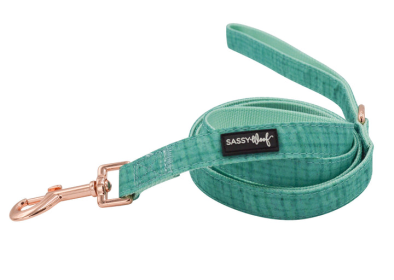 Sassy Woof Dog Leash (Color: Teal, size: One Size)