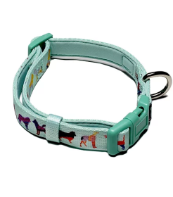 PoisePup Dog Collar (Color: Seafoam, size: Medium- adjustable)