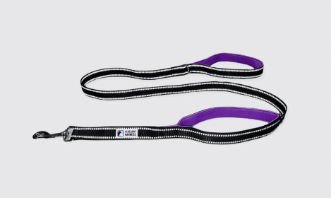 Headlight Harness Double Handle Reflective Dog Leash (Color: Purple, size: 6ft)