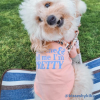 The Essential Dog T-Shirt - Feed Me & Tell Me I'm Pretty