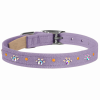 Susan Lanci Designs Crystal Paws Dog Collar