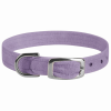 Susan Lanci Designs Crystal Paws Dog Collar