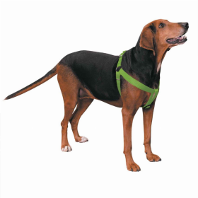 CC Nylon 2 Step Dog Harness (Color: Light Green, size: 9-15in)